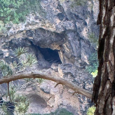 Casa Javi Y Carmen Daire Coto Rios Dış mekan fotoğraf