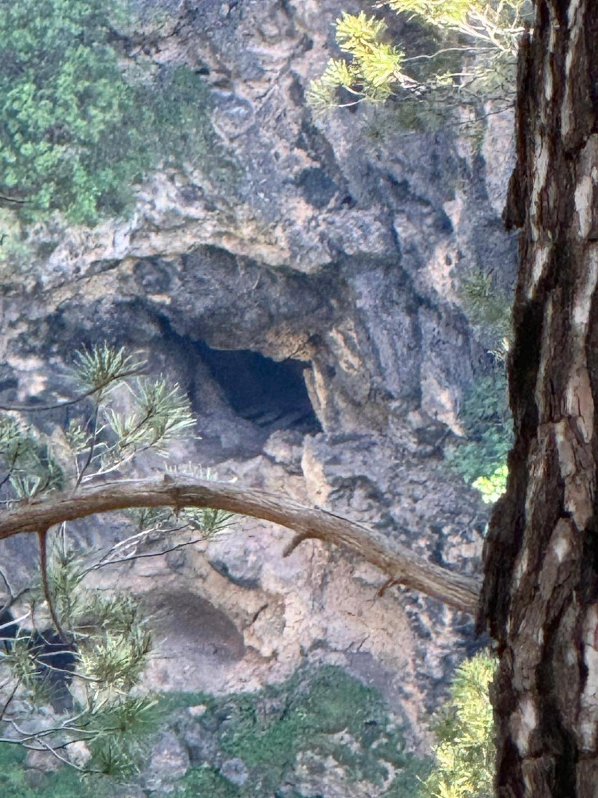 Casa Javi Y Carmen Daire Coto Rios Dış mekan fotoğraf