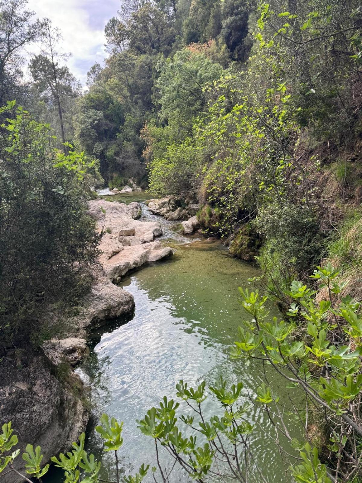 Casa Javi Y Carmen Daire Coto Rios Dış mekan fotoğraf
