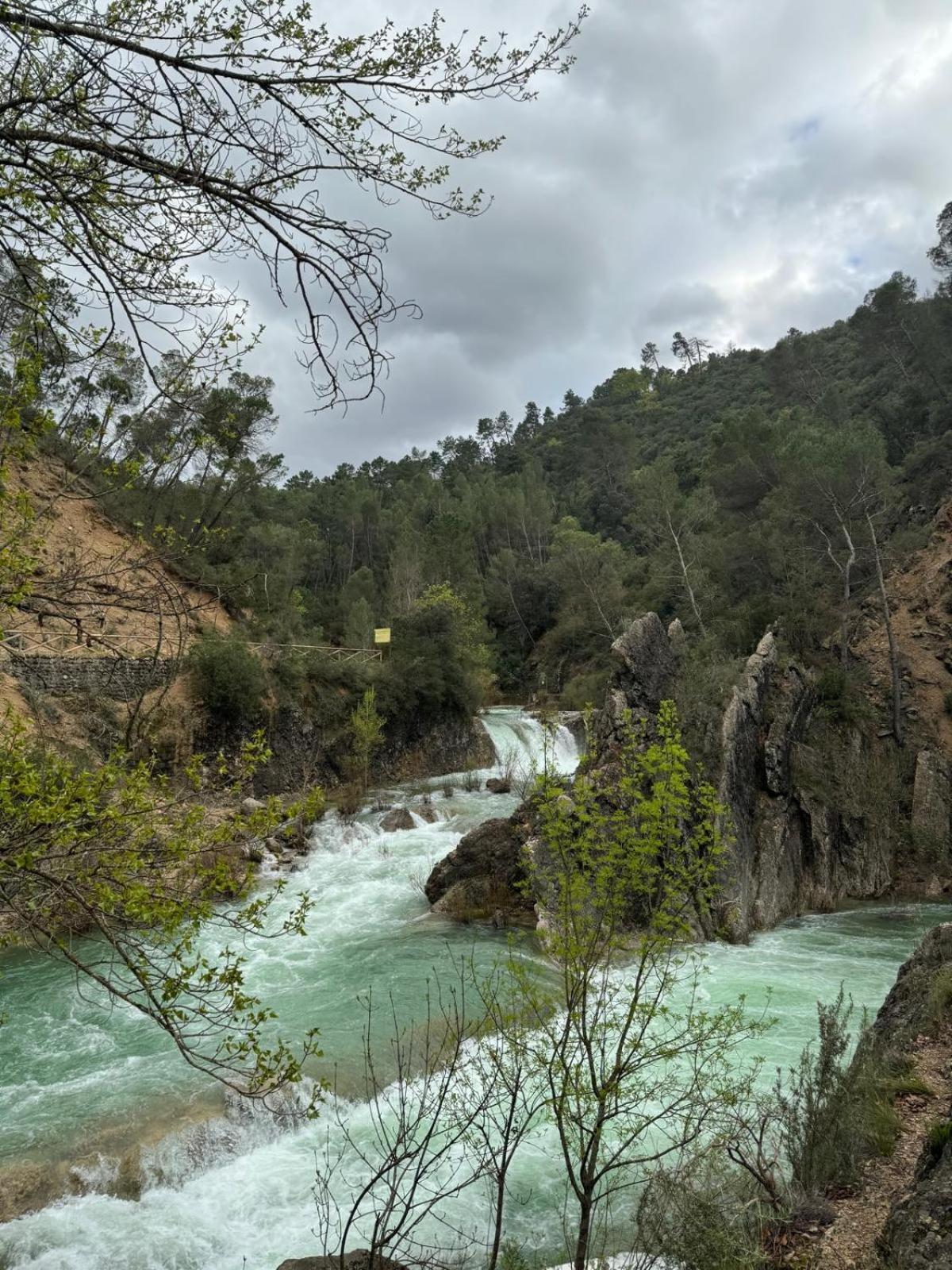 Casa Javi Y Carmen Daire Coto Rios Dış mekan fotoğraf