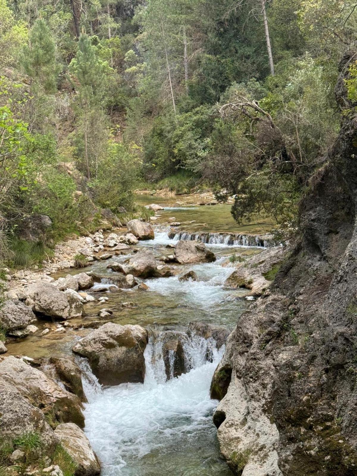Casa Javi Y Carmen Daire Coto Rios Dış mekan fotoğraf