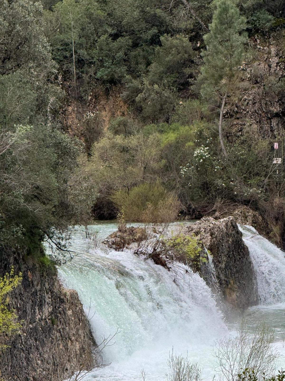 Casa Javi Y Carmen Daire Coto Rios Dış mekan fotoğraf